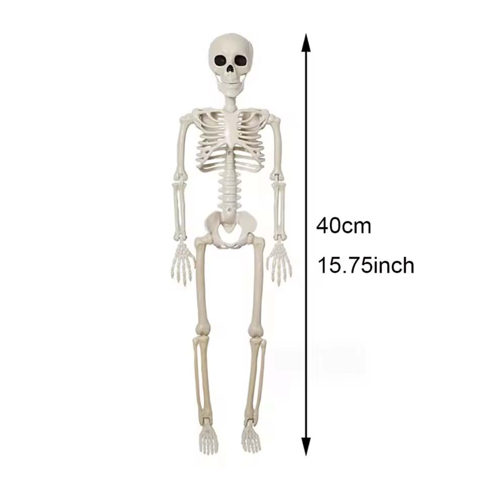 Posable Skeleton,Human Shape Bones,Halloween Herror Decorations,Haunted House Horror Props