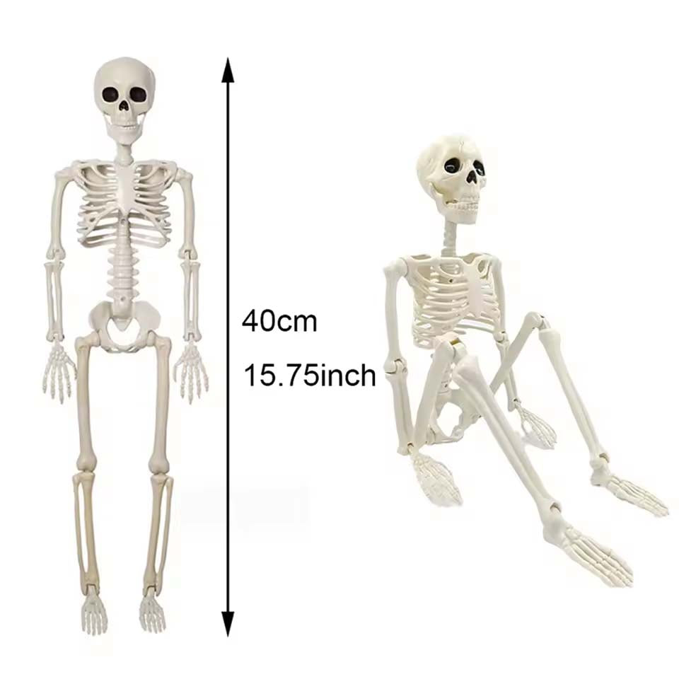 Posable Skeleton,Human Shape Bones,Halloween Herror Decorations,Haunted House Horror Props